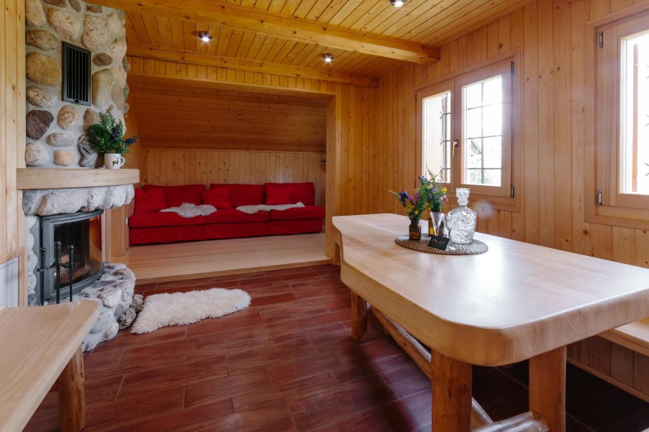 Chalet Orlica Velika Planina Стаховица Экстерьер фото