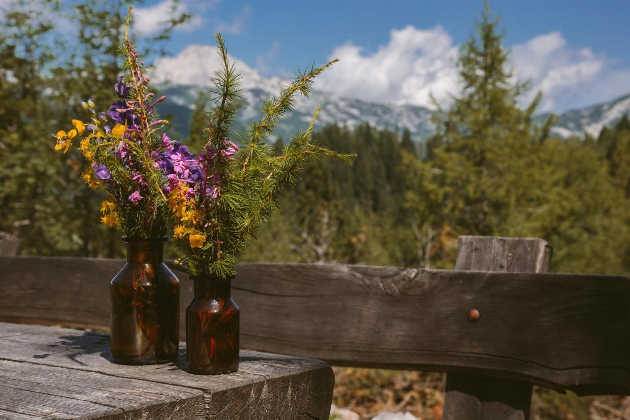 Chalet Orlica Velika Planina Стаховица Экстерьер фото