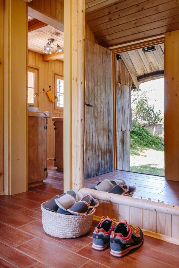 Chalet Orlica Velika Planina Стаховица Экстерьер фото